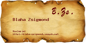 Blaha Zsigmond névjegykártya